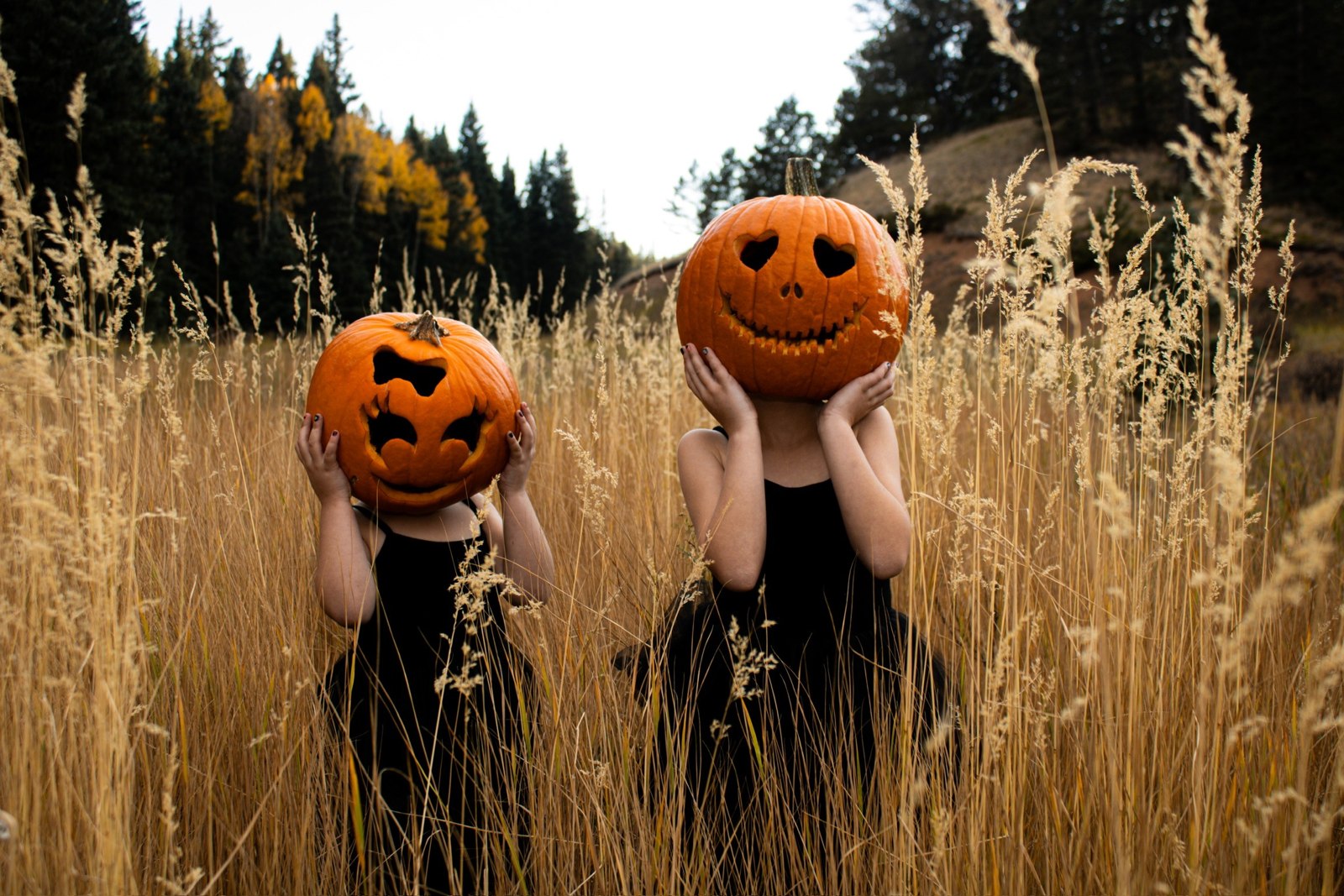 A playful kind of autumn