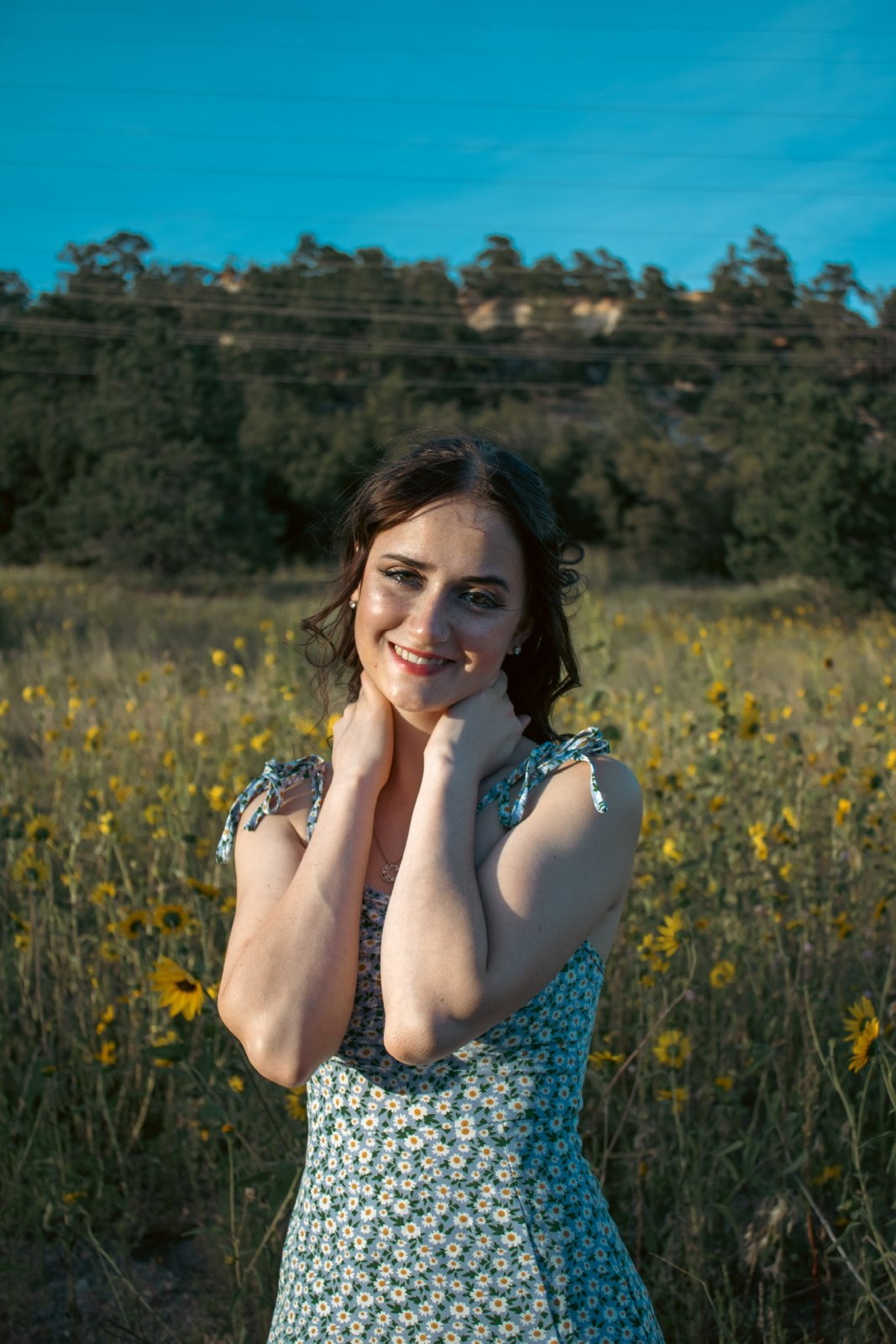 Wildflowers and summer light